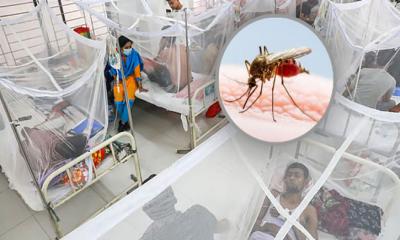 ডেঙ্গুতে আরও ৫ জনের মৃত্যু, আক্রান্ত ১৪৮৪