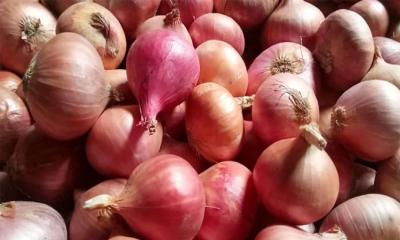 ভারত থেকে আসছে পেঁয়াজ
