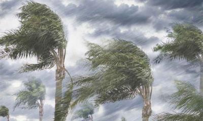 ১৭ জেলায় ৬০ কিমি বেগে ঝড়ের আভাস, নদীবন্দরে সতর্কসংকেত