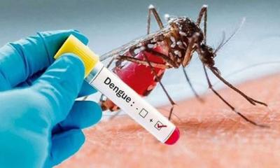 ডেঙ্গুতে প্রাণ গেল আরও ৬ জনের, আক্রান্ত ১৫৬১