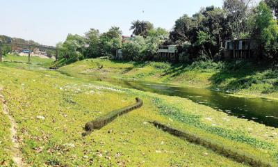 চায়না জালে দেশি মাছ বিলুপ্ত হবার সম্ভবনা