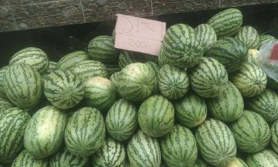 কম দামেও তরমুজ কিনছেন না মানুষ, বিক্রেতাদের মাথায় হাত