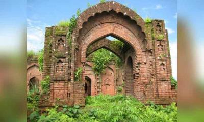 Qiz oz mushukini onanizm qilmoqda (foto)