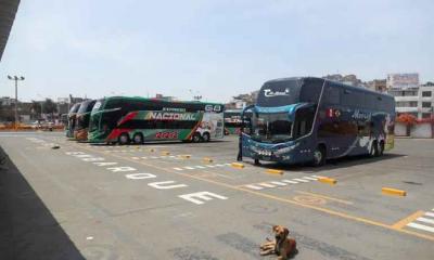 পেরুতে বাস খাদে পড়ে নিহত ২৪