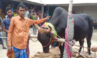 বিগবসের সাথে মোটরসাইকেল ফ্রি