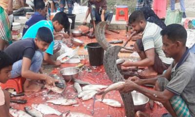 হাট-বাজারে হাঁটু মেরে মাছ কেটেই সচ্ছল শহীদ  