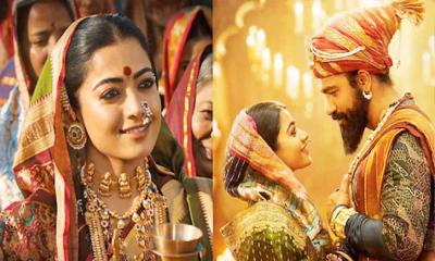 ৫০০ কোটি ছাড়াল ভিকি কৌশলের ‍‍‘ছাবা‍‍’