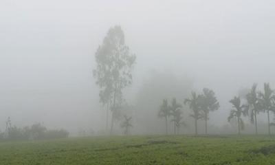 শীত নিয়ে নতুন বার্তা