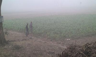 দেশের ১০ জেলায় শৈত্যপ্রবাহ, থাকবে যতদিন