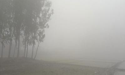 শীতের মধ্যেই সাগরে লঘুচাপ,  শৈত্যপ্রবাহ নিয়ে নতুন বার্তা