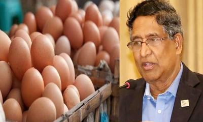 ফার্ম মালিকরা লস দিতে রাজি না, ডিম আমদানি হবে না