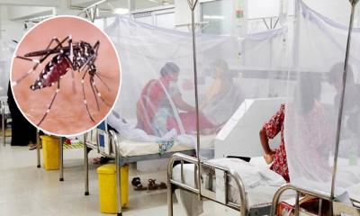 ডেঙ্গুতে আরও ৪ জনের মৃত্যু, শনাক্ত ৬০৬