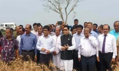 সরকারের নজরদারি ও প্রণোদনা কৃষিতে বিপ্লব ঘটিয়েছে