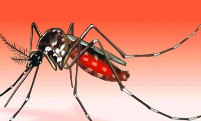 ডেঙ্গুতে আরও ১৮ জনের মৃত্যু, হাসপাতালে ২৪৮০