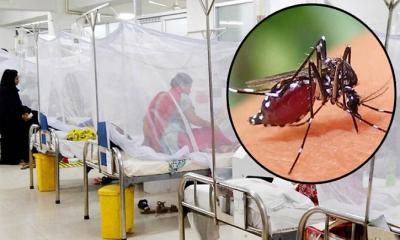 আড়াই মাসে ডেঙ্গুতে মৃত্যু হলো ২০ জনের, আক্রান্ত দেড় হাজার
