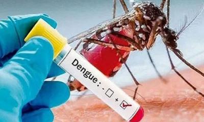 ডেঙ্গুতে একদিনে ৩ জনের মৃত্যু