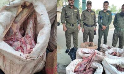 সুন্দরবন থেকে ১৩২ কেজি হরিণের মাংস উদ্ধার 