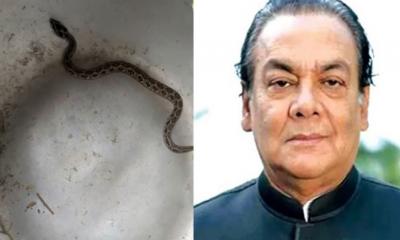 রাসেলস ভাইপারের জন্য পুরস্কার নেই, বললেন সেই আ.লীগ নেতা