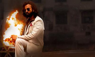 ‘তুফান’ থেকে কত পারিশ্রমিক পাবেন, জানালেন শাকিব