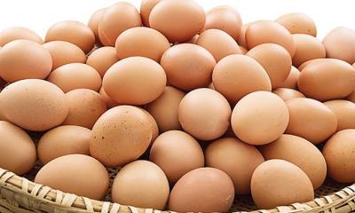 দেশে এসেছে ভারতীয় ডিম, দাম পড়েছে ৭ টাকা ২৩ পয়সা