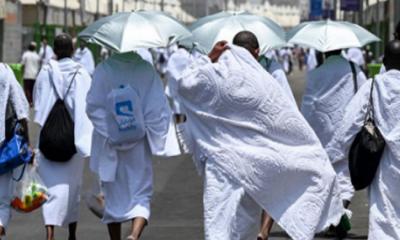 সৌদিতে ১০৮১ হজযাত্রীর মৃত্যু, বাংলাদেশের ৩১