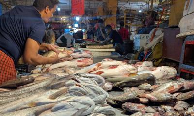 রমজান আসতেই মাছ-মাংসের দামে আগুন, চাপে ক্রেতারা