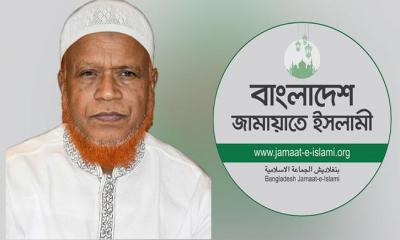 নুরুল ইসলাম বুলবুলের পেশা ব্যবসায়ী ও পরামর্শক, বার্ষিক আয় ৯ লাখ