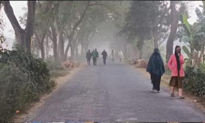 চুয়াডাঙ্গায় জেকে বসেছে শীত