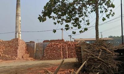 জীবননগরে ২০ টি ইট ভাটার ১৯ টিই অবৈধ