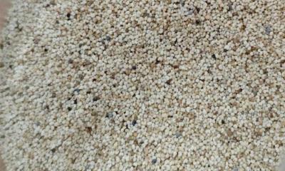 খাদ্যের আড়ালে পাকিস্তান থেকে এলো ২৫ হাজার কেজি মাদক