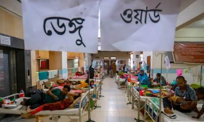 এ বছর ডেঙ্গু আক্রান্তের সংখ্যা ৩ লাখ ছাড়াল