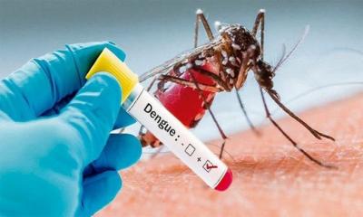 ভয়ঙ্কর ডেঙ্গুতে মৃত্যু আরও পাঁচজনের, দায় কার!