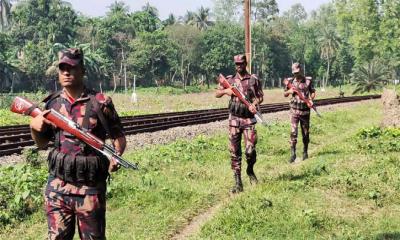 চামড়া পাচার রোধে সীমান্তে বিজিবির কঠোর নজরদারি