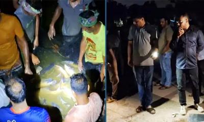 রাতের আঁধারে সরকারি দিঘির মাছ ধরে নিয়ে গেলেন ২ ম্যাজিস্ট্রেট
