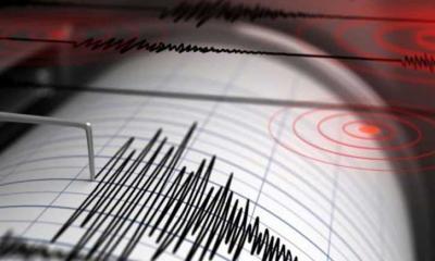 শক্তিশালী ভূমিকম্প দুই দেশে