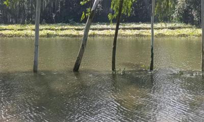 পাহাড়ি ঢল আর ভারি বৃষ্টিতে প্লাবিত হতে পারে ১৪ জেলা