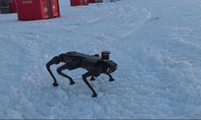 অ্যান্টার্কটিকায় দাপিয়ে বেড়াচ্ছে চীনা এআই রোবট-কুকুর