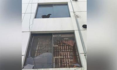 জাপা চেয়ারম্যানের বাসায় হামলা-ভাঙচুর