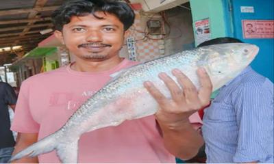 এক ইলিশের দাম ৬ হাজার টাকা