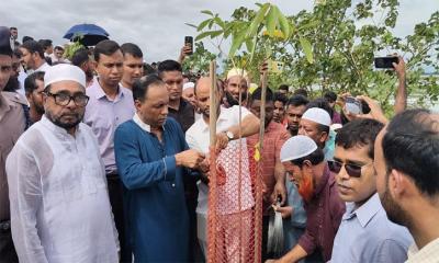 বৃক্ষ হত্যাকারীদের ৪৮ ঘণ্টার মধ্যে গ্রেপ্তারের নির্দেশ ডেপুটি স্পিকারের