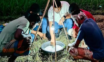 আলোক ফাঁদ: কৃষিতে আধুনিক কীটপতঙ্গ ব্যবস্থাপনার নতুন দিগন্ত