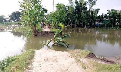 ধরলার কালভার্ট ভেঙে যোগাযোগ বিচ্ছিন্ন ৫ শতাধিক পরিবার