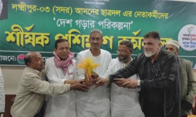 ধানের শীষকে সমর্থন দিয়ে সরে দাঁড়ালেন স্বতন্ত্র প্রার্থী 