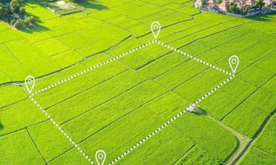 জমির নামজারি খুবই গুরুত্বপূর্ণ, জেনে নিন কিভাবে করবেন