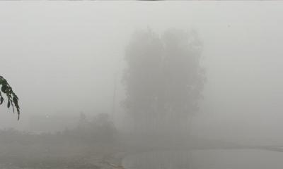 কুয়াশার চাদরে ঢেকে গেছে নীলফামারী