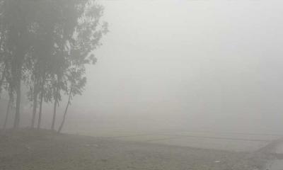 নীলফামারীতে সর্বনিম্ন তাপমাত্রা ১০ ডিগ্রি