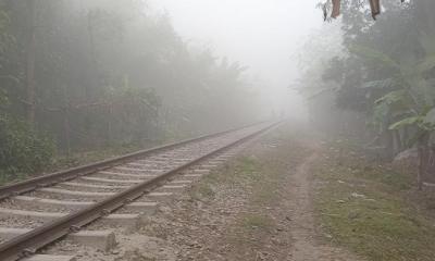 নীলফামারীতে তাপমাত্রা ৯ ডিগ্রি সেলসিয়াস