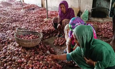 মজুদ প্রচুর, তবুও দুই দিনে পেঁয়াজের দাম হঠাৎ বাড়ল ৪০ টাকা