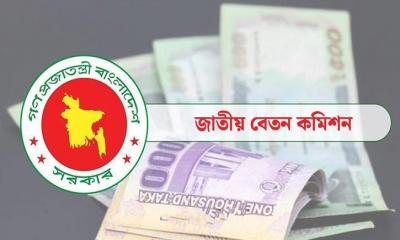 এই সরকারের আমলে নতুন পে স্কেল বাস্তবায়ন হকে কিনা, যা জানা গেল