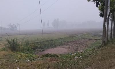 পঞ্চগড়ে তাপমাত্রা নেমে ১২ ডিগ্রির ঘরে